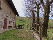 In Canto Alto (1146 m) da Ripa-Zogno ad anello fiorito il 10 aprile 2025 - FOTOGALLERY